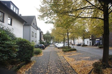 schlebusch