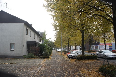 schlebusch