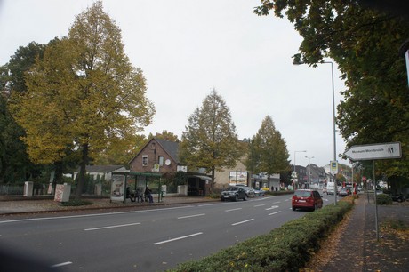 schlebusch