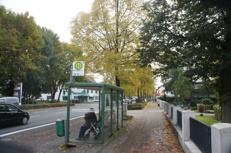 schlebusch