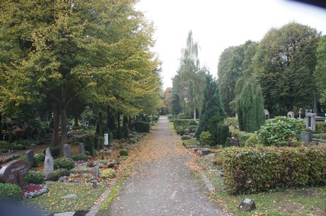 schlebusch