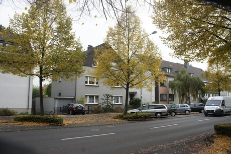 schlebusch