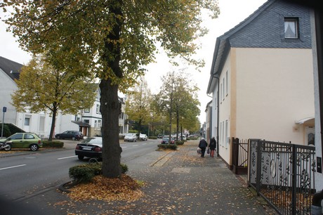 schlebusch