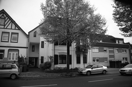 schlebusch