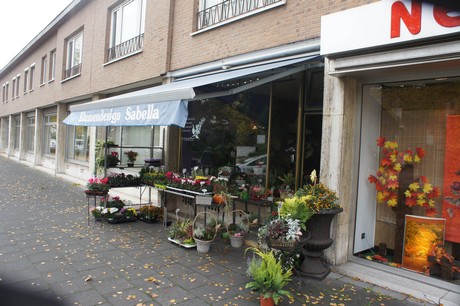 schlebusch