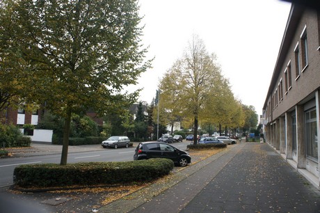 schlebusch