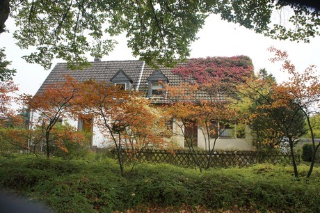 schlebusch