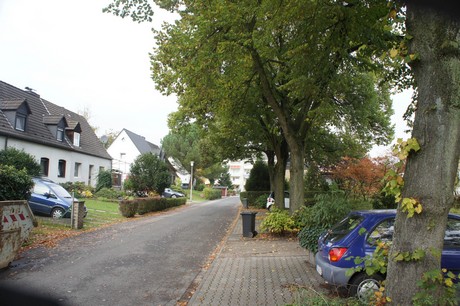 schlebusch
