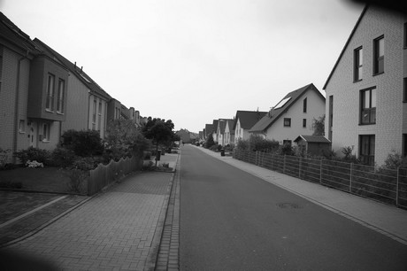 schlebusch