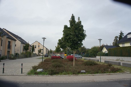 schlebusch