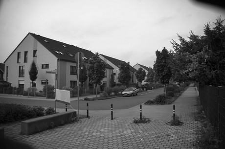 schlebusch