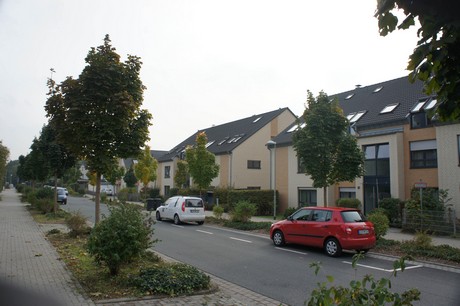 schlebusch
