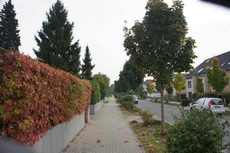 schlebusch