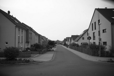 schlebusch