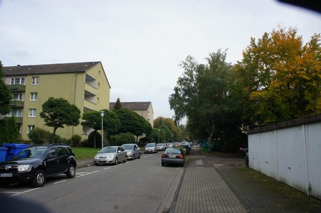 schlebusch
