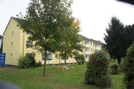 schlebusch