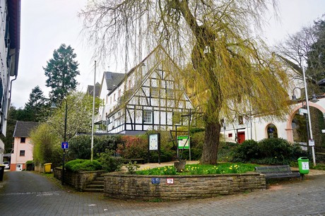 Schleiden