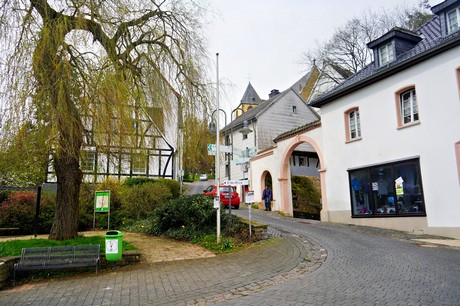 Schleiden