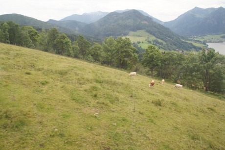 schliersee