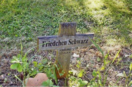 schwadorf
