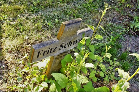 schwadorf
