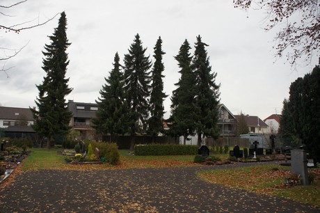 schwadorf