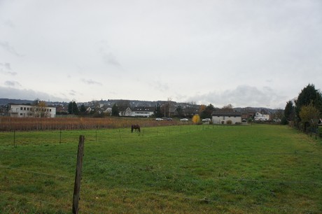 schwadorf