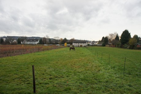 schwadorf