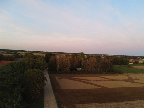 Schwarzmaar