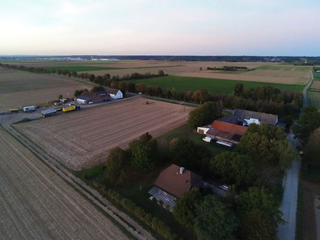 Schwarzmaar