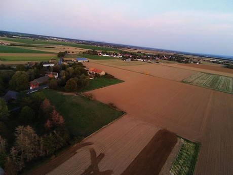 Schwarzmaar