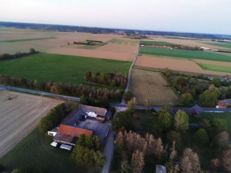 Schwarzmaar
