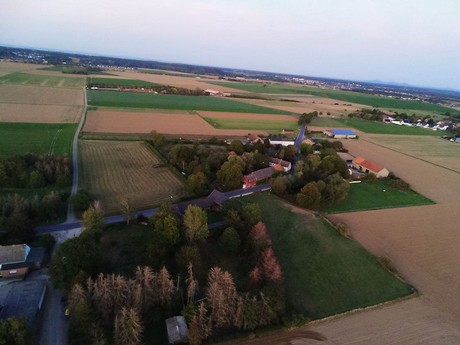 Schwarzmaar