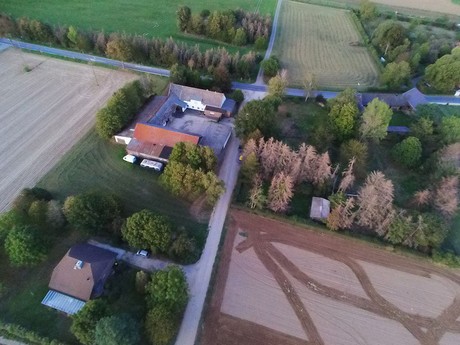 Schwarzmaar