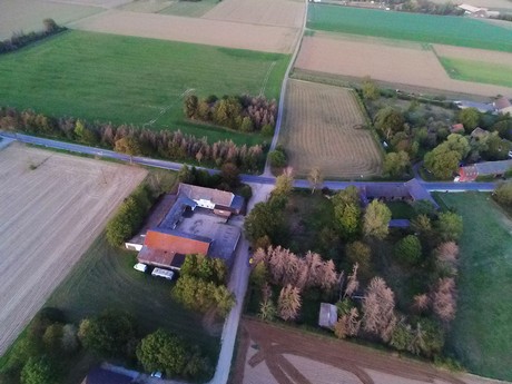 Schwarzmaar