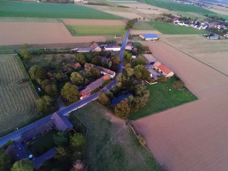 Schwarzmaar