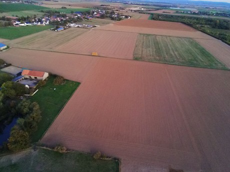 Schwarzmaar