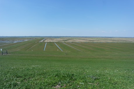 simonsberg