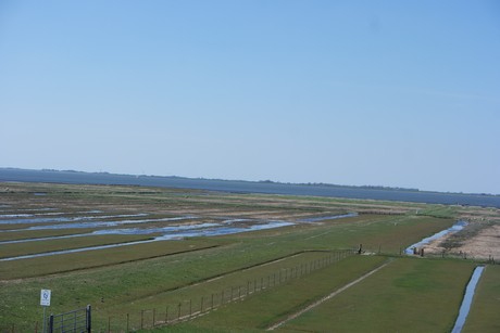 simonsberg