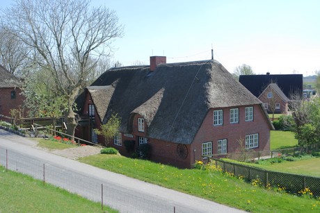 simonsberg