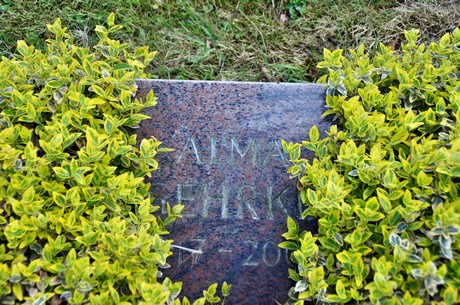 friedhof