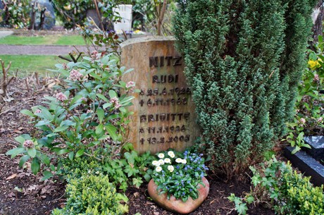 friedhof