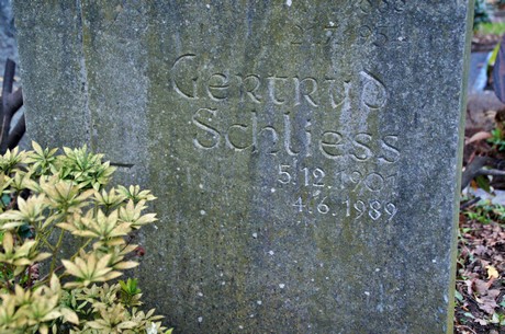 friedhof