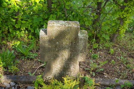 Sinzenich