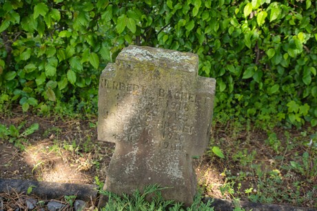 Sinzenich