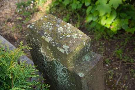 Sinzenich