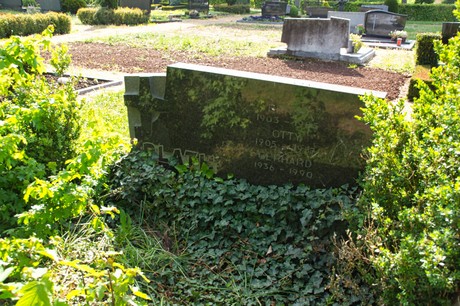 Sinzenich