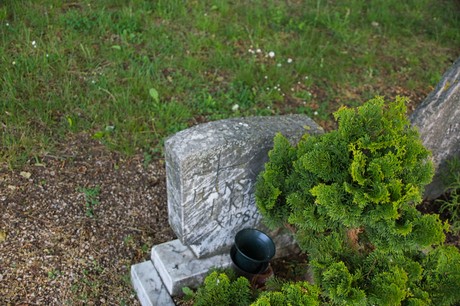 Sinzenich