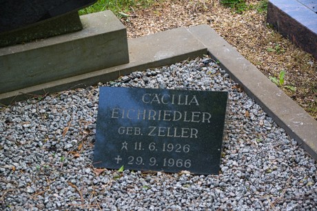 Sinzenich