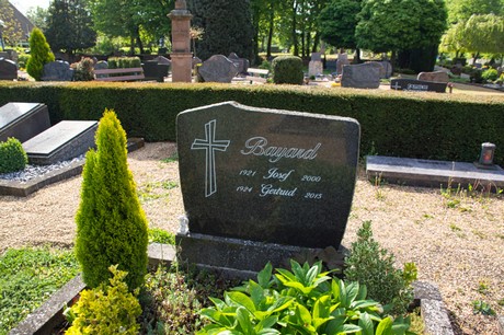 Sinzenich